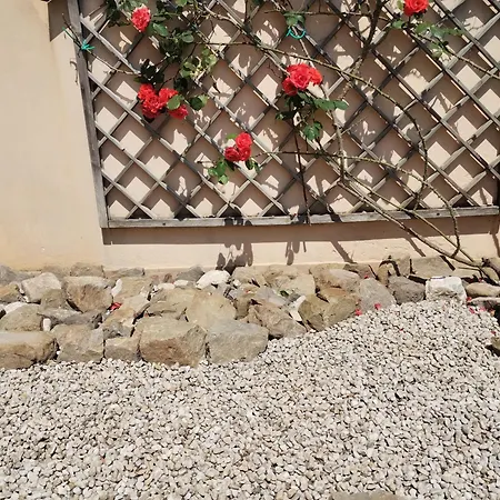 Border House Гориция